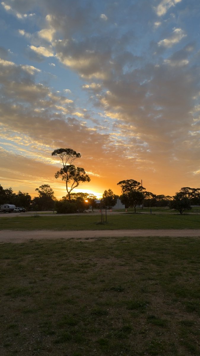 Dan The Man tweet media