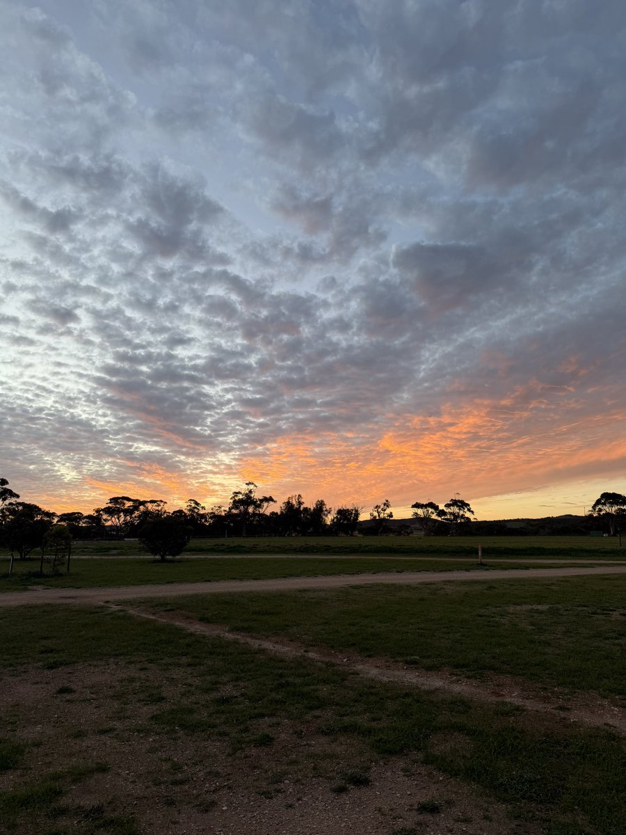 Dan The Man tweet media