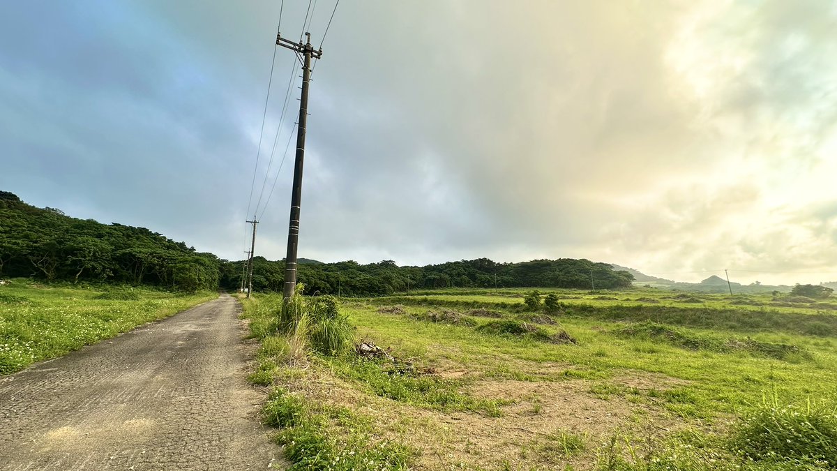 石垣島 カンムリワシの里と森を守る会 tweet media