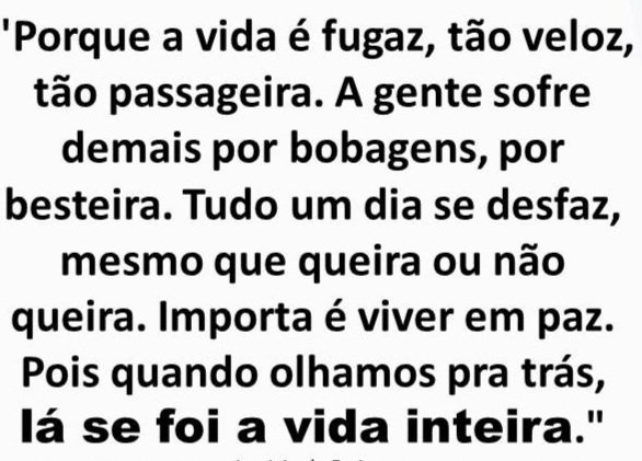 Manuel Carlos🇧🇷 tweet media