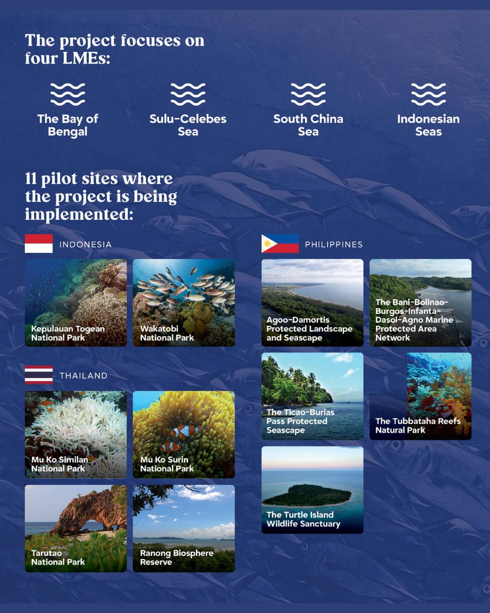 The ASEAN Magazine tweet media