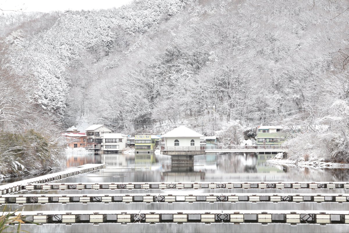 アノマリーFX tweet media