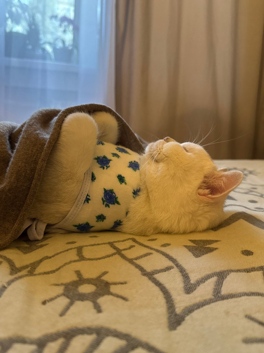 Пикся-С tweet media