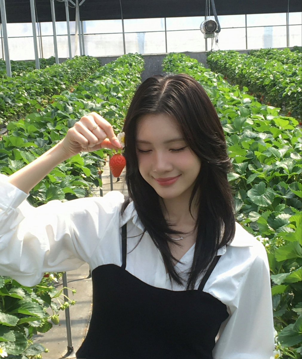 anya (@fl0werranger) on Twitter photo 