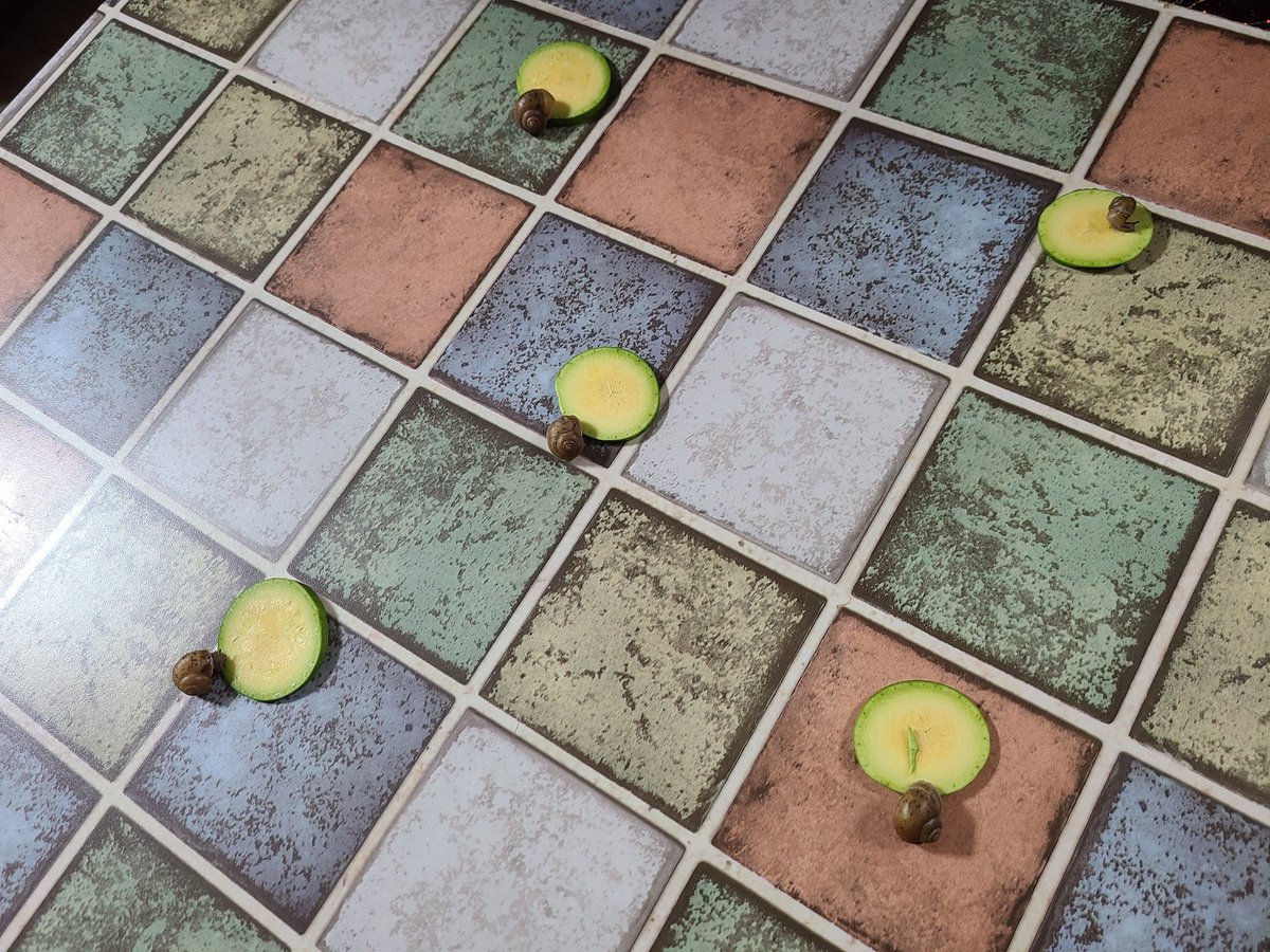 고구미와 젤리의 왕국 tweet media