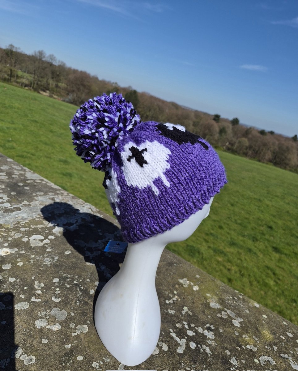 The Yorkshire Grey Sheep tweet media