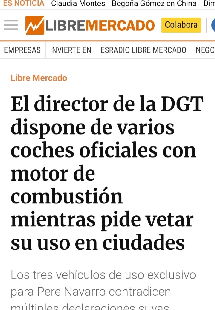 GataMadrileña.Gata facha . tweet media