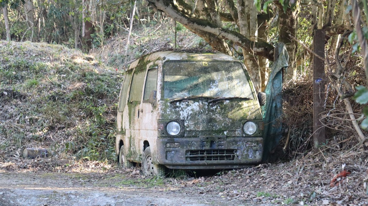 化石探検家 tweet media