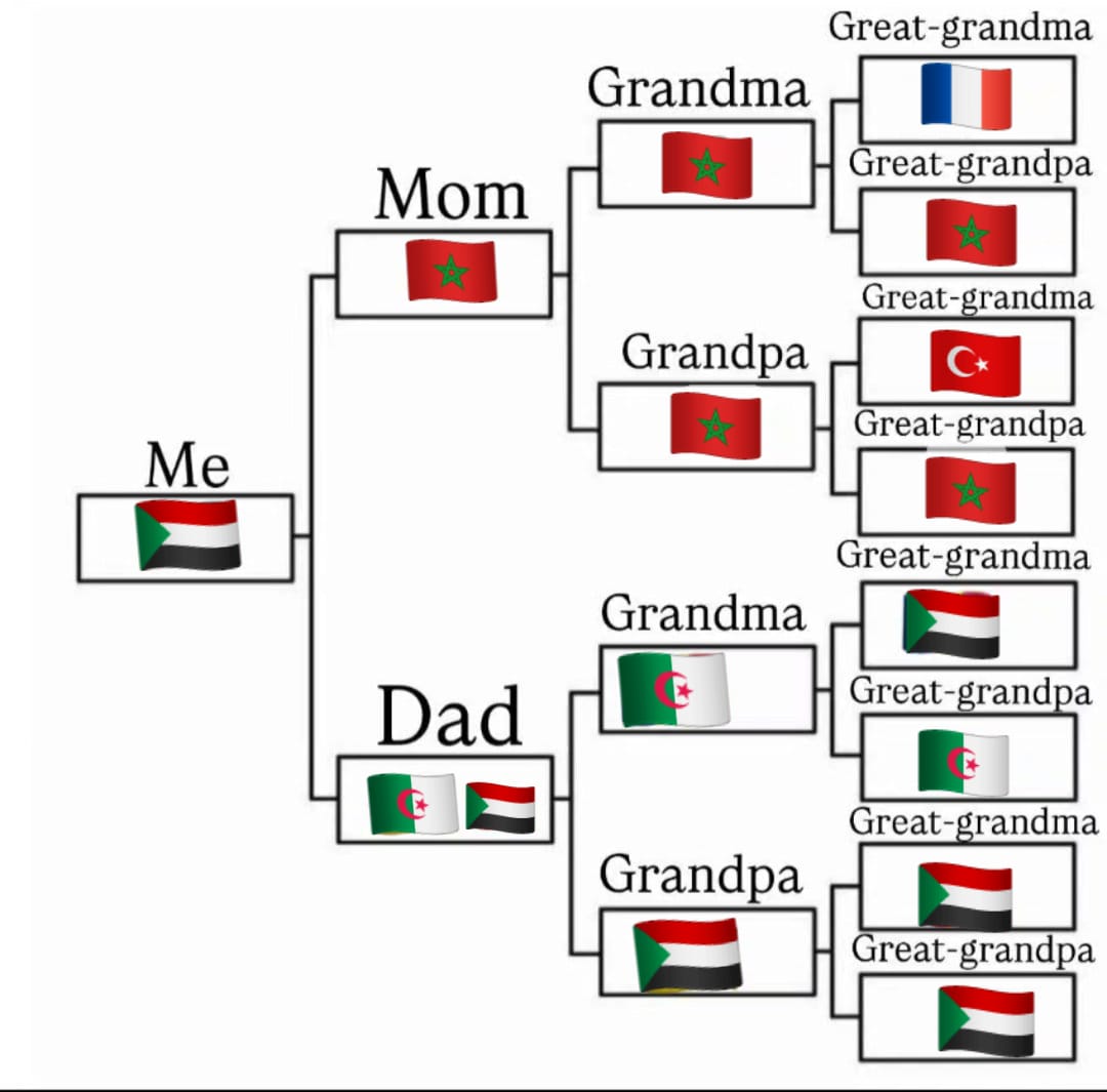 فرطوقة tweet media