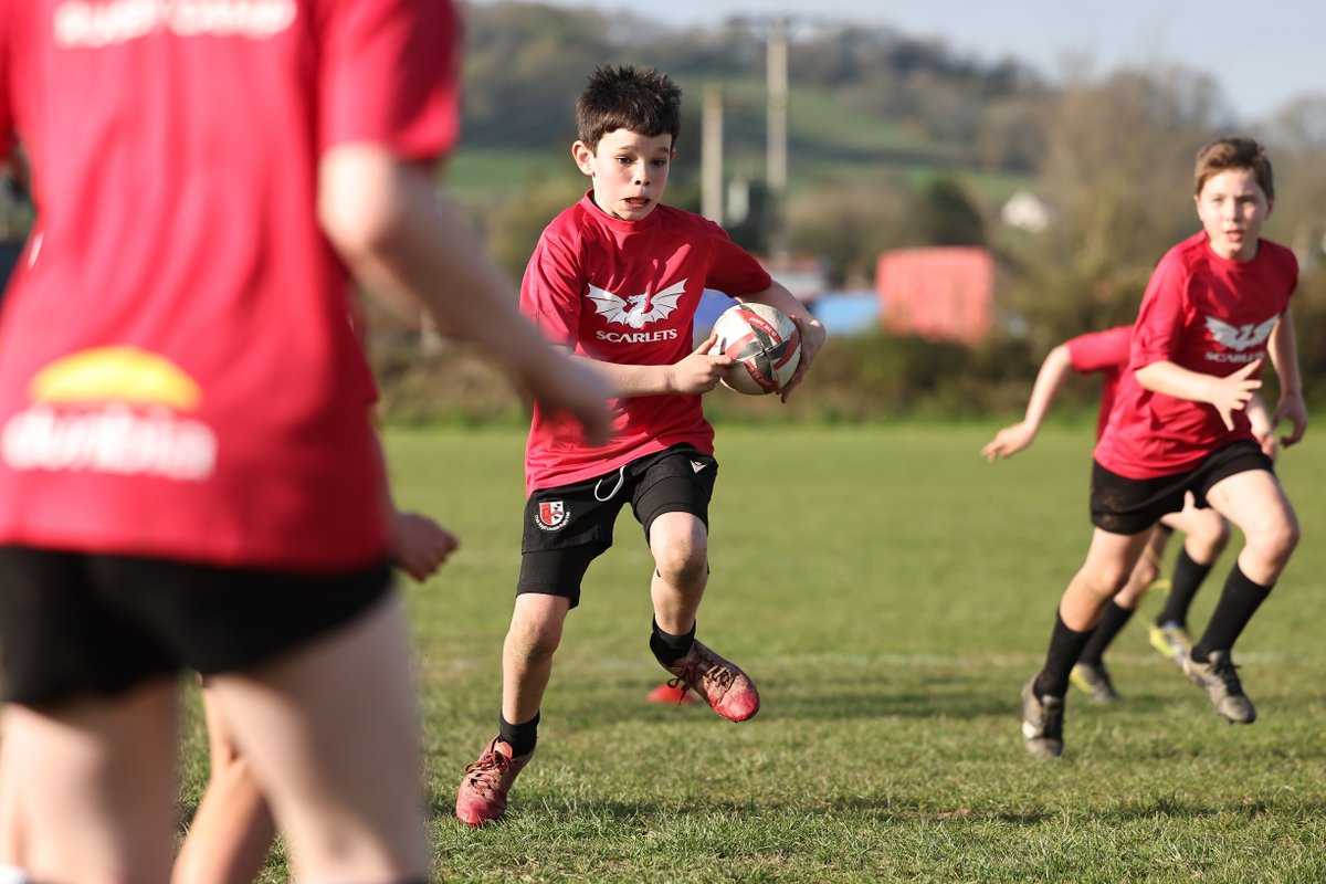 Scarlets Community Foundation tweet media
