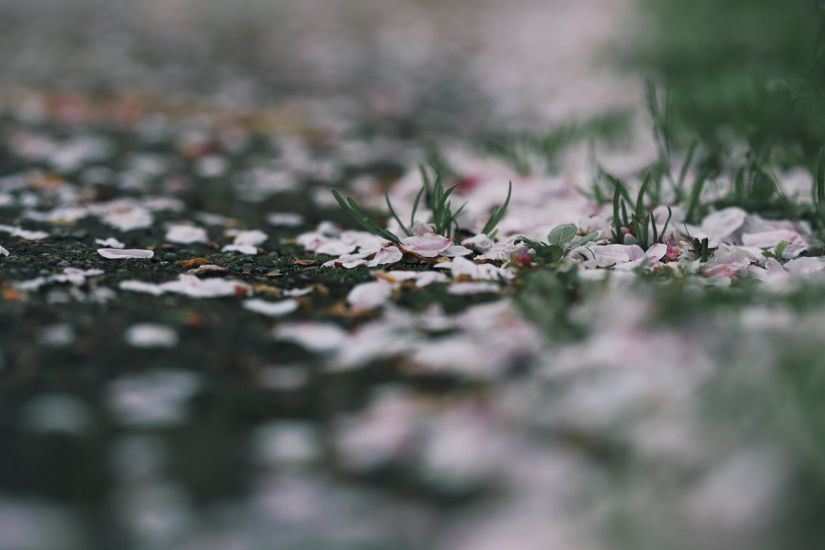 へいじろ tweet media