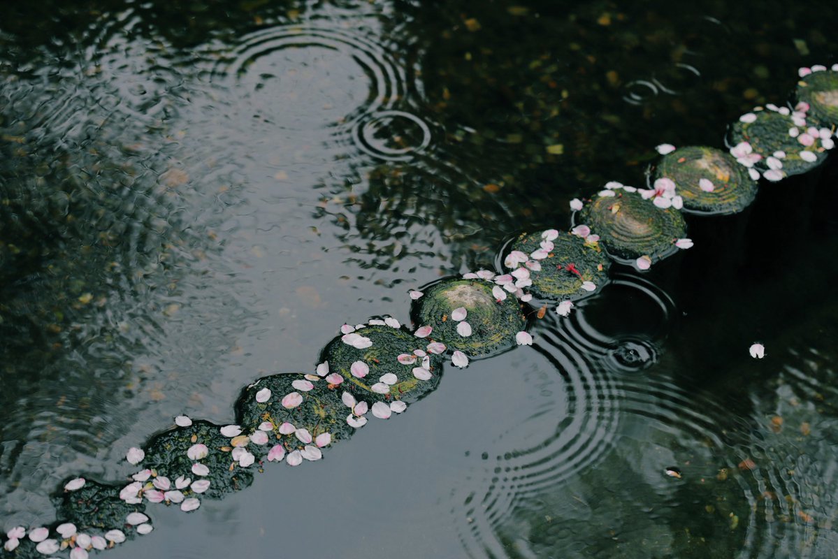 へいじろ tweet media