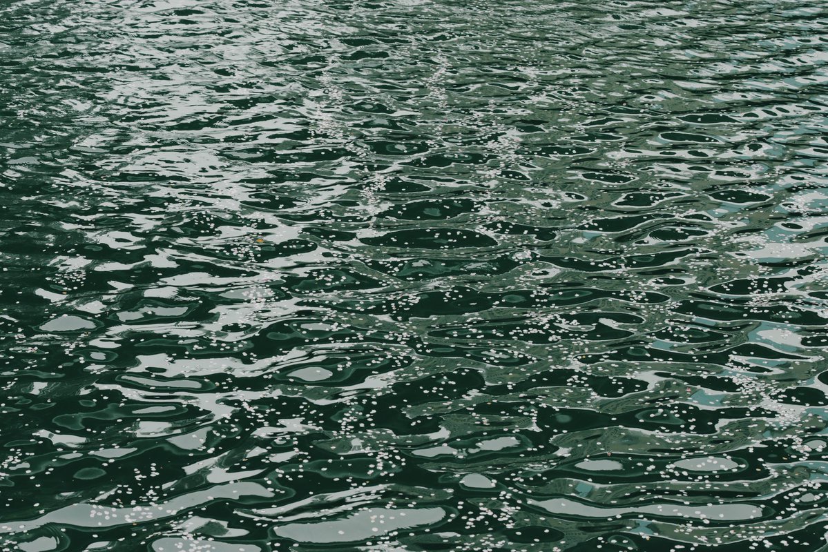 へいじろ tweet media