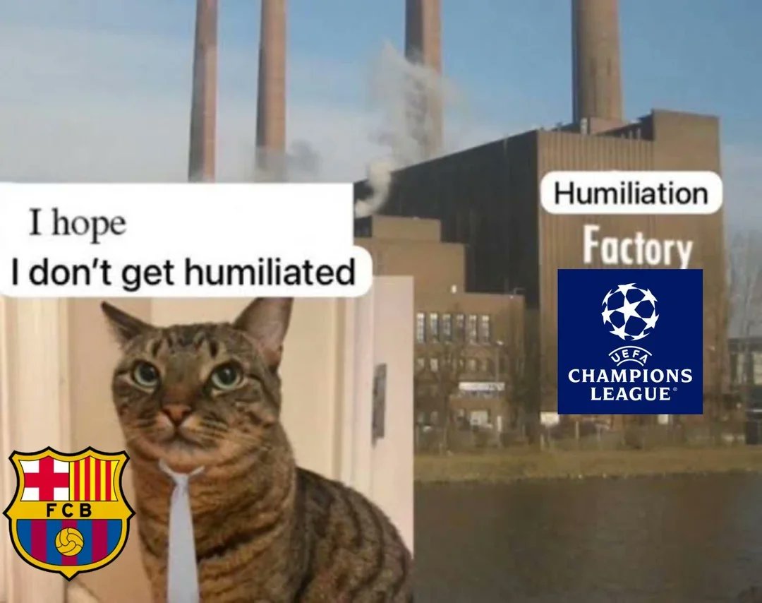 Troll Football tweet media