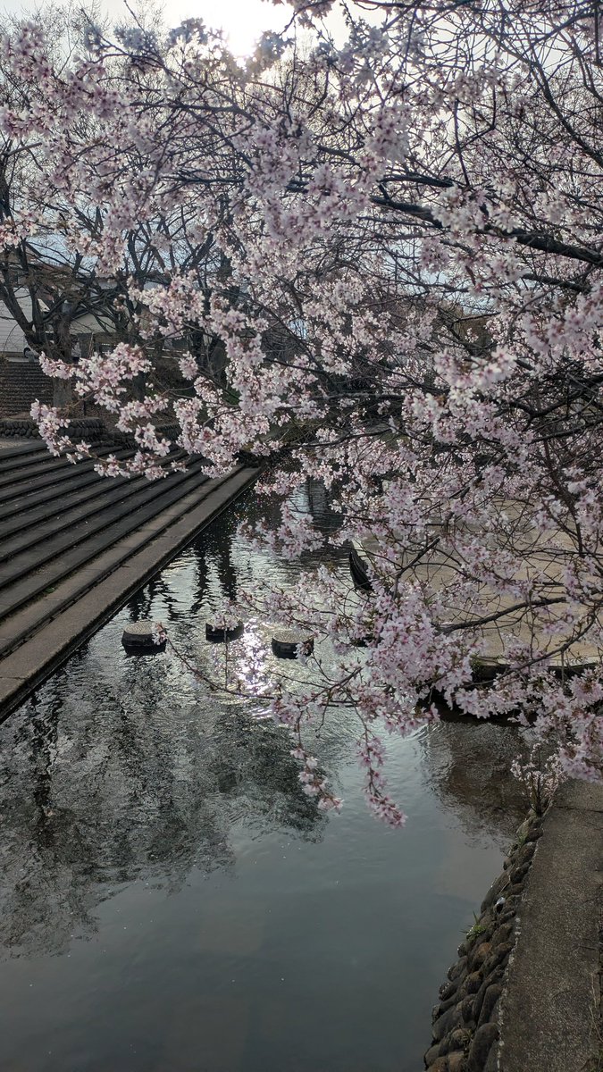 たかし@支部長 tweet media