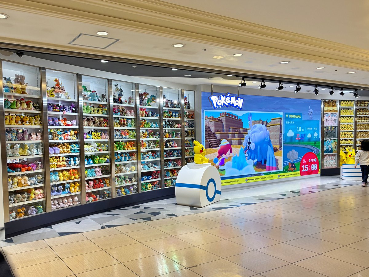 はまぴた【横浜・みなとみらい発】 tweet media