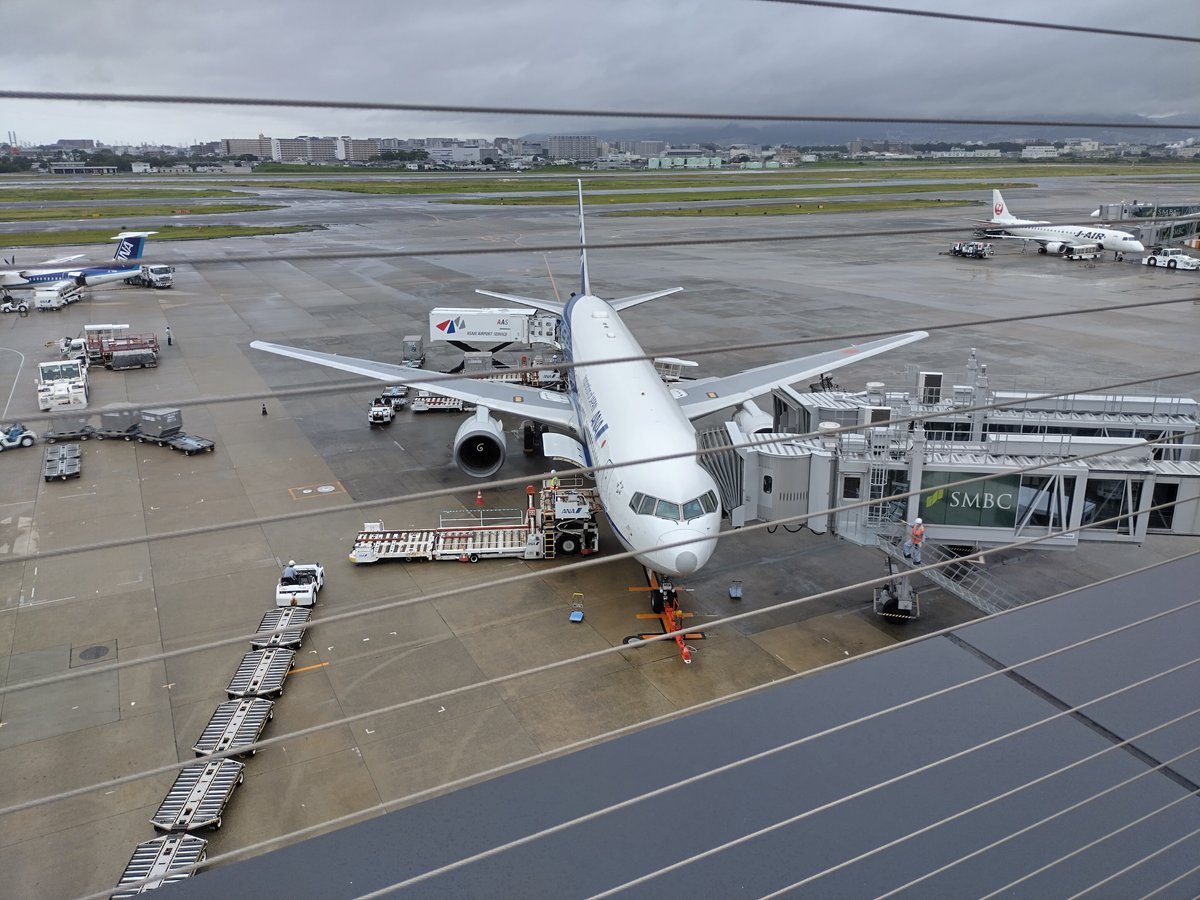 熊のケポ tweet media