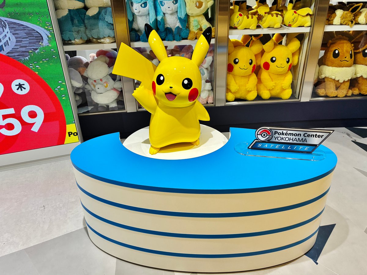 はまぴた【横浜・みなとみらい発】 tweet media