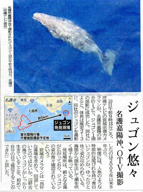 ネトデマバスター🥷ねおくいくい tweet media