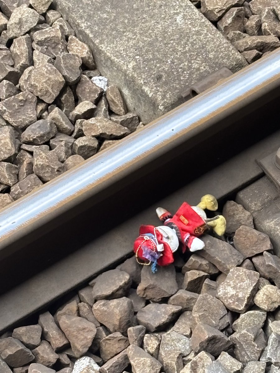 tokyodisneyfr's tweet photo. 今日見た、、ドナルド？！😭誰か助けてあげて…
(てかこの衣装なに？笑) https://t.co/RdZFBpJAqP