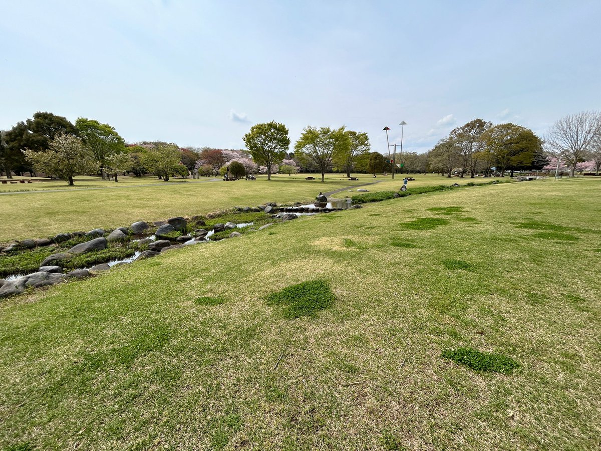 ンまい屋さん🍥YouTubeやってる人 tweet media