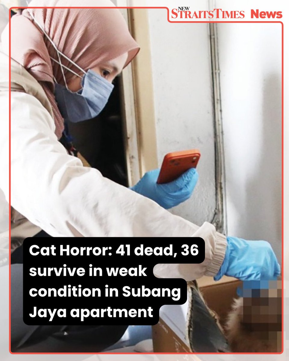 New Straits Times tweet media