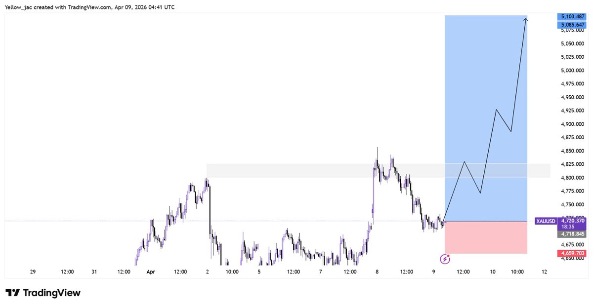 GOLD PRO TRADER🙅 tweet media