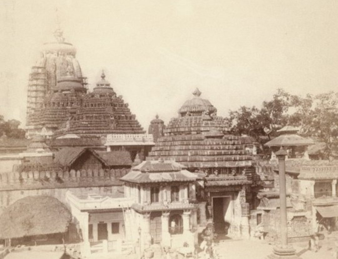 𝗙𝗮𝘀𝗵𝗶𝗼𝗻𝗶𝘀𝘁𝗮 tweet media