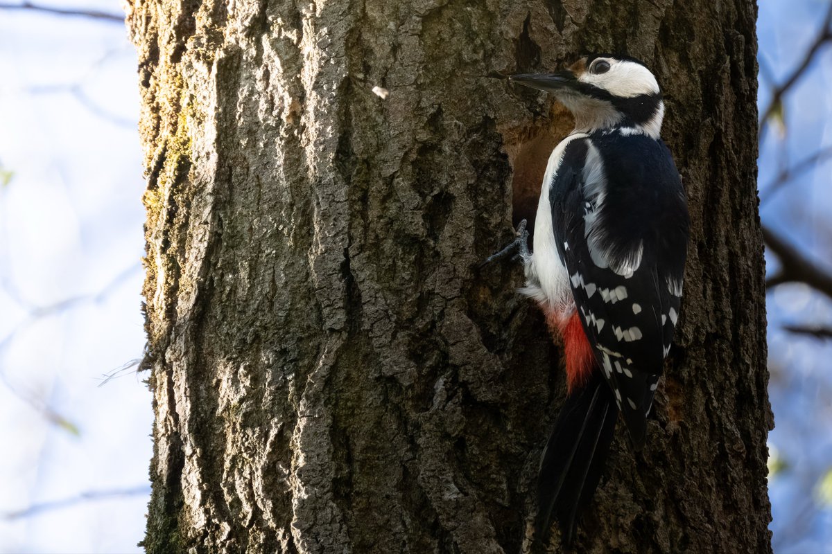 Andreas Pucher tweet media