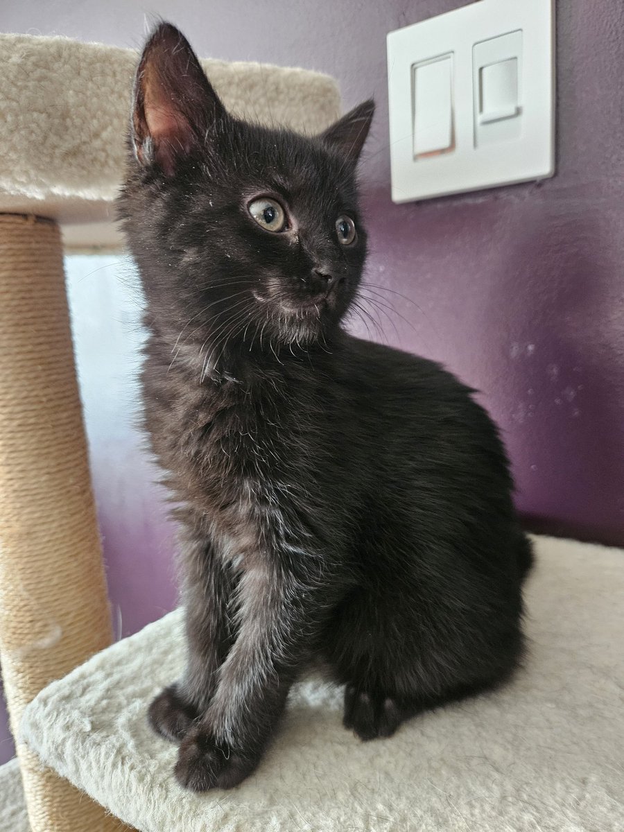 NovaStar616 tweet media