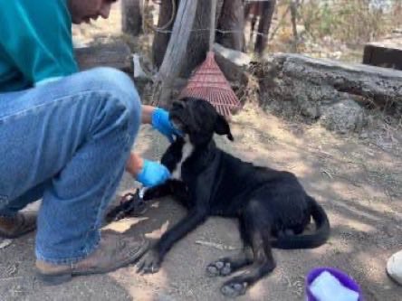 JORGE BECERRIL JB/8 tweet media