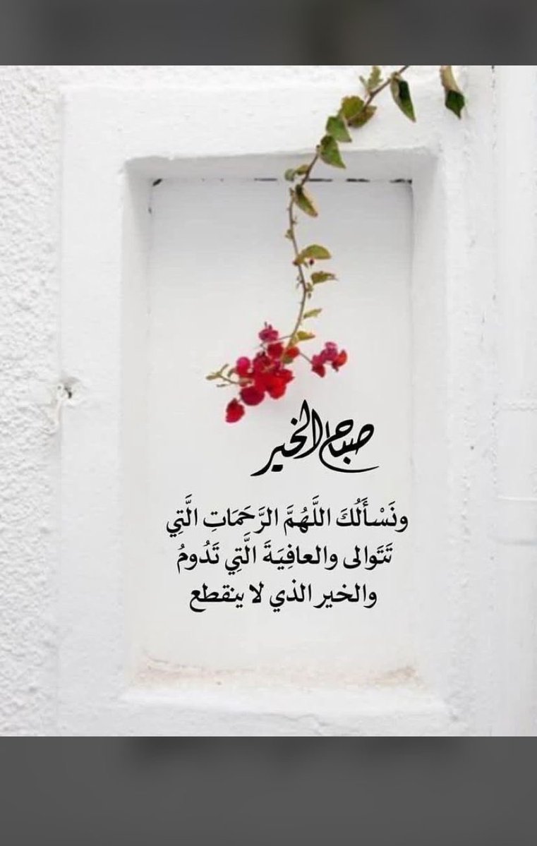 Tiger🐅 tweet media