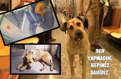 Sol Yumruk tweet media