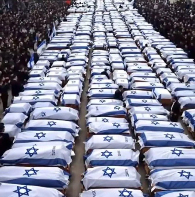 💡 Logical Hunter 🏹 tweet media