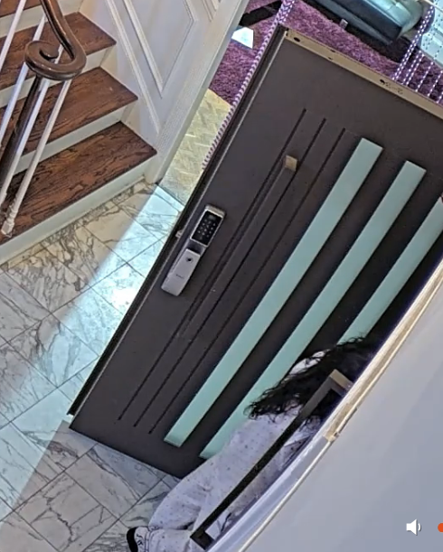 Please #fishtanklive