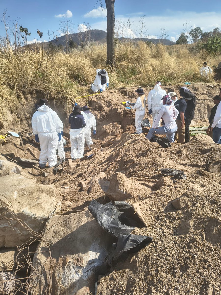 Guerreros Buscadores de Jalisco tweet media