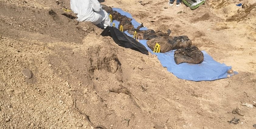 Guerreros Buscadores de Jalisco tweet media