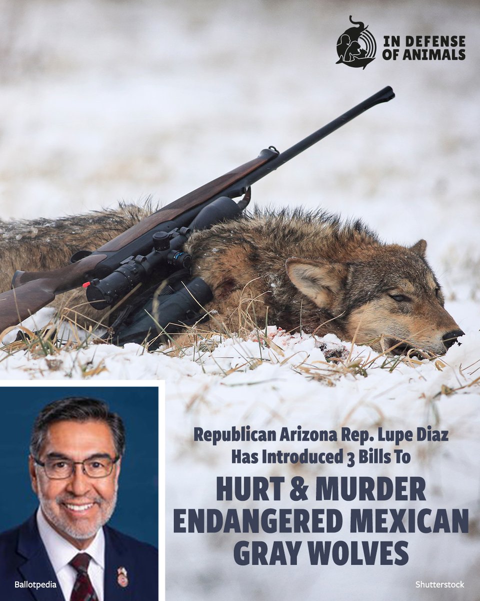 In Defense Of Animals tweet media