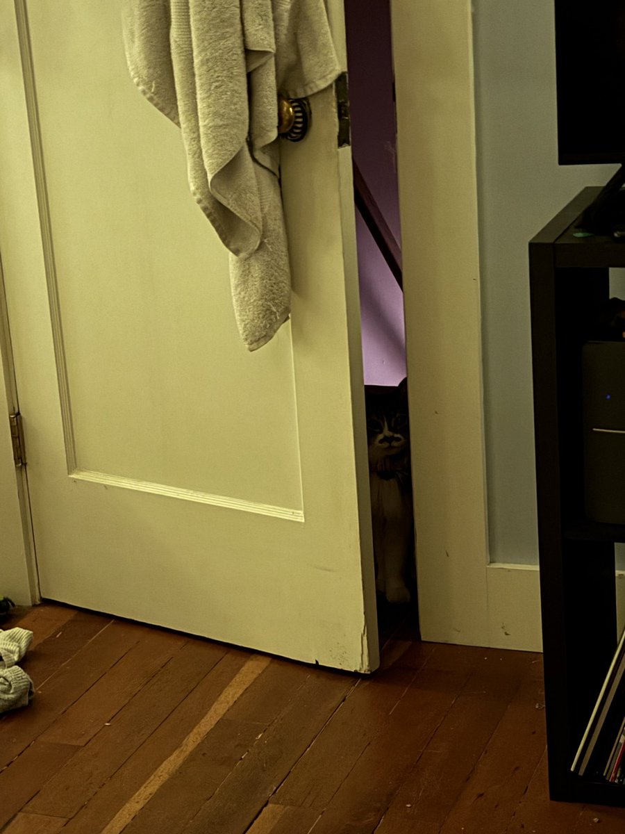 neon genesis evangEllieon tweet media