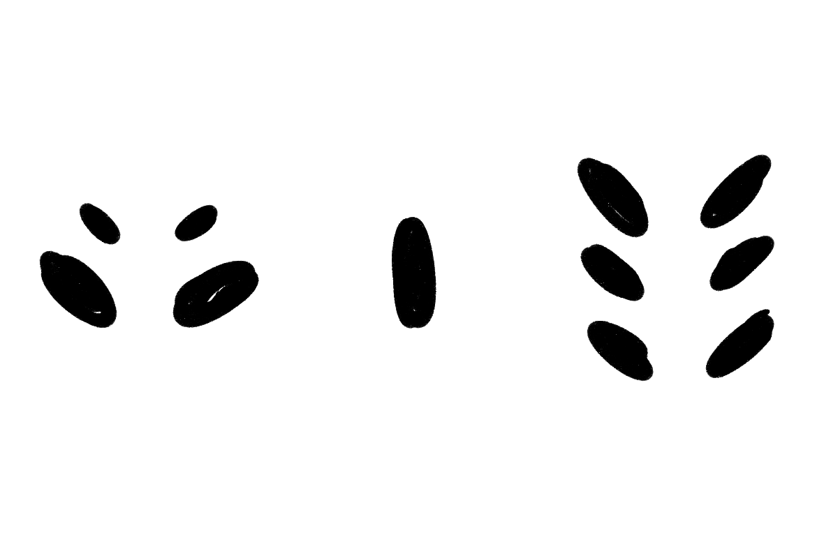 WolfKIce tweet media