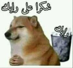 هــيــرو 🇪🇬| tweet media