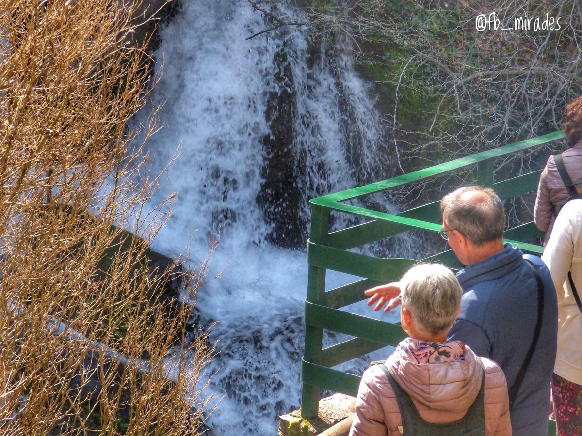 Francesc Brunés 💐🌻🪻 tweet media