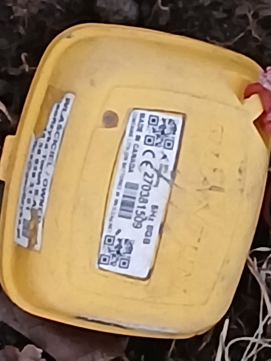 Franz Strohmeier tweet media