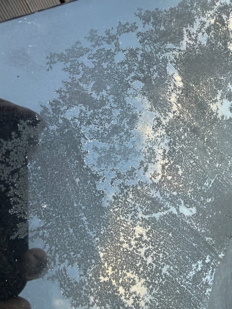 Mojbier z Kozlowa tweet media