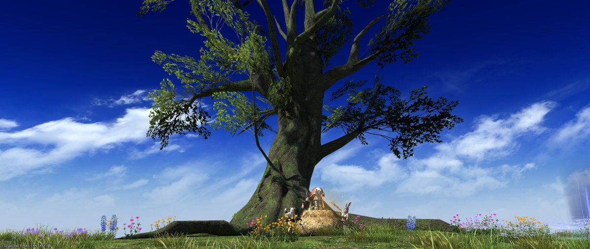 𝕌𝕜𝕒🌸 tweet media