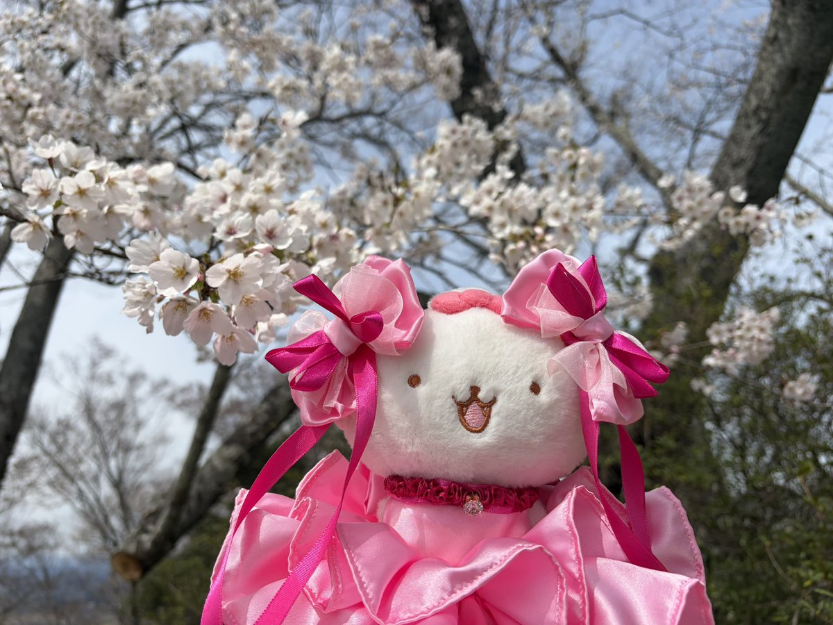 がらくたオルゴール tweet media