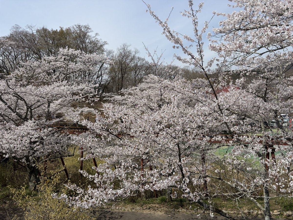 がらくたオルゴール tweet media