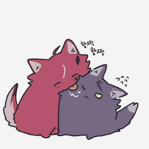 오엠제이 tweet media