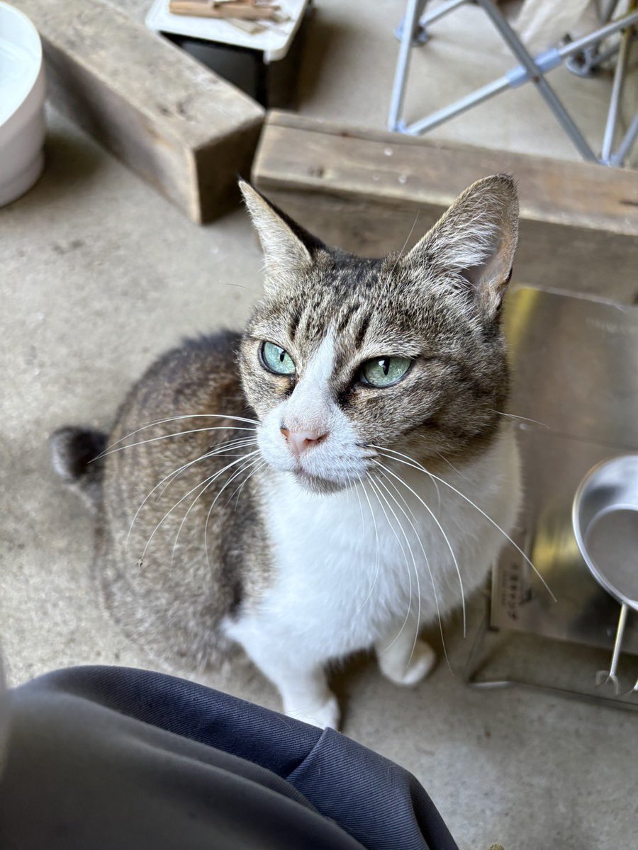 大洗キャンプ場 tweet media