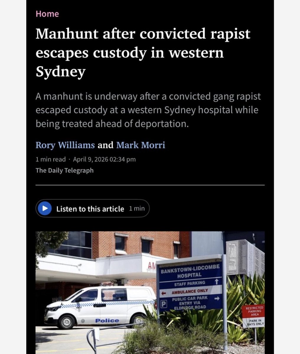 Drew Pavlou 🇦🇺🇺🇸🇺🇦🇹🇼 tweet media